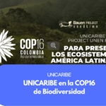 Biodiversidad